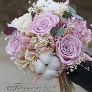 3 1 scaled